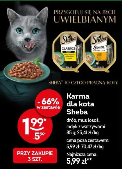 Karma dla kota drób, mus łosoś, indyk z warzywami