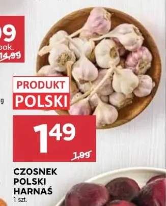 Czosnek polski Harnaś