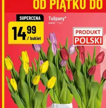 Tulipany bukiet