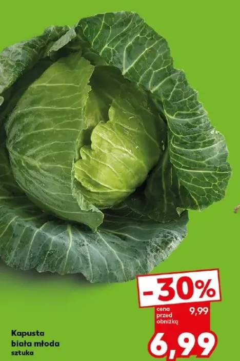 Kapusta biała młoda