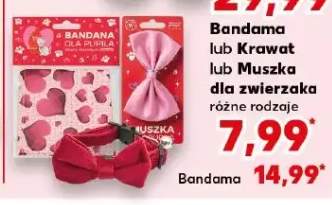Bandama lub Krawat lub Muszka dla zwierzaka różne rodzaje