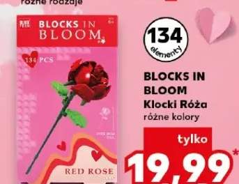 Klocki Róża różne kolory