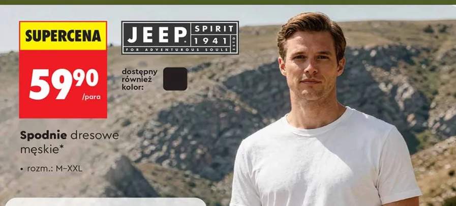 Spodnie dresowe męskie