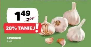 Czosnek