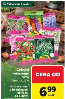 Cebulki wiosenne VITA