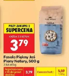 Fasola piękny jaś