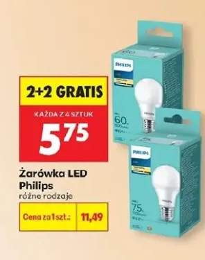 Żarówka LED różne rodzaje