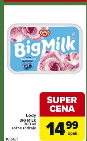 Lody różne rodzaje