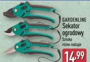 Sekator ogrodowy sztuka