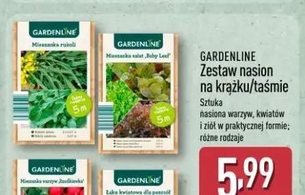 Zestaw nasion na krążku/taśmie