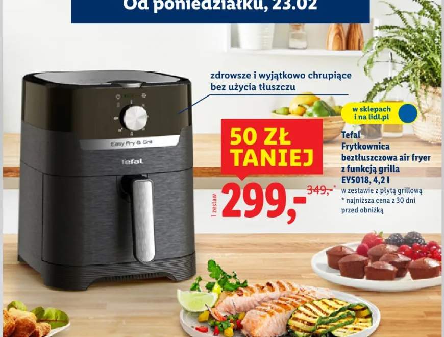 Frytkownica beztłuszczowa air fryer z funkcją grilla EY5018, 4,2 l
