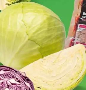 Polska kapusta biała