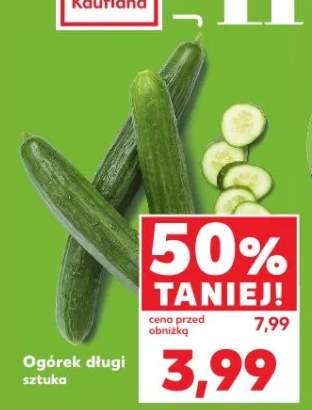 Ogórek długi sztuka