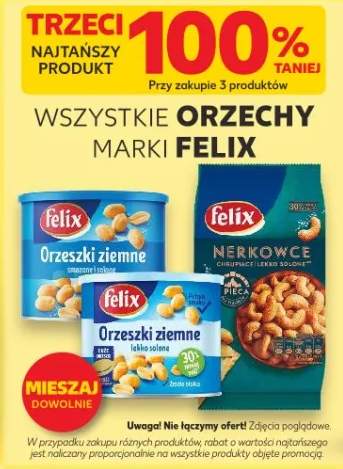 Orzechy różne rodzaje