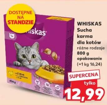 Sucha karma dla kotów różne rodzaje