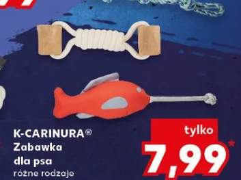 Zabawka dla psa różne rodzaje