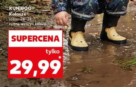 Kalosze świecące, różne wzory i kolory