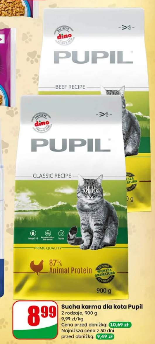 Sucha karma dla kota