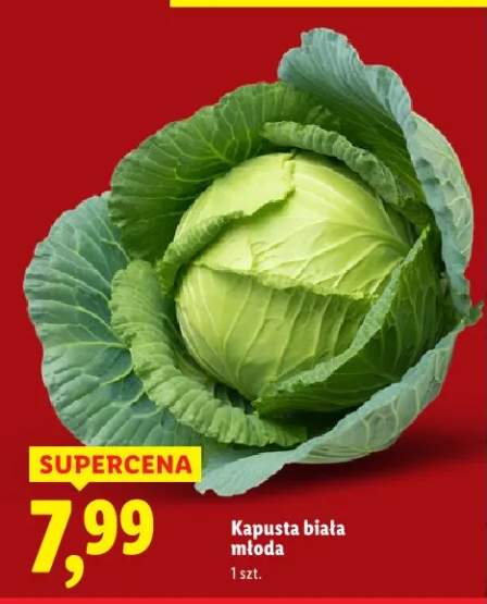 Kapusta biała młoda