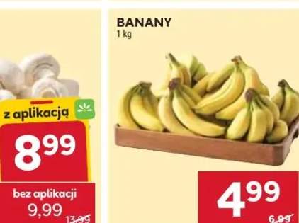 Kapusta kiszona, kwaszona różne rodzaje w wiaderku, folię