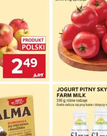 Cebula dymka czerwona do sadzenia