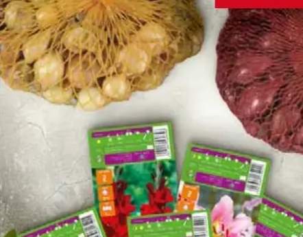 Udziec wołowy bez kości