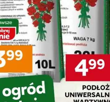 Wątróbka z kurczaka