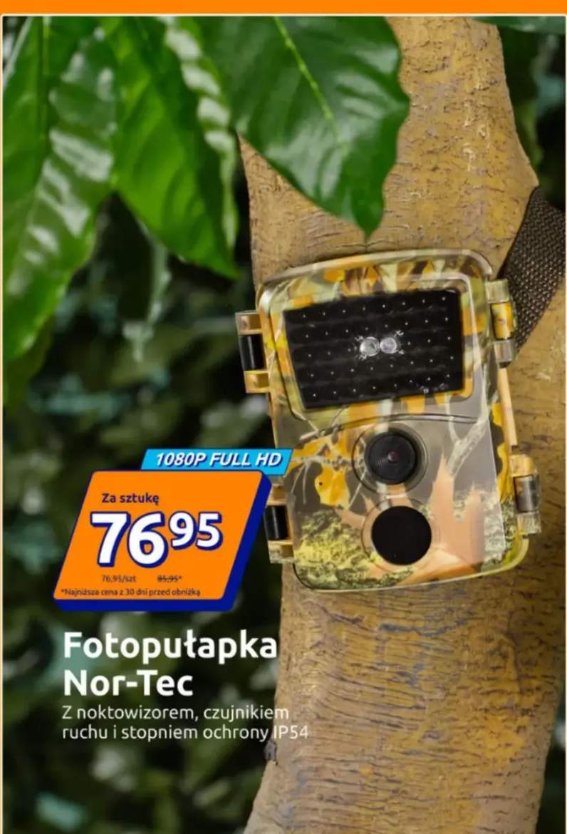 Fotopułapka z noktowizorem, czujnikiem ruchu i stopniem ochrony IP54