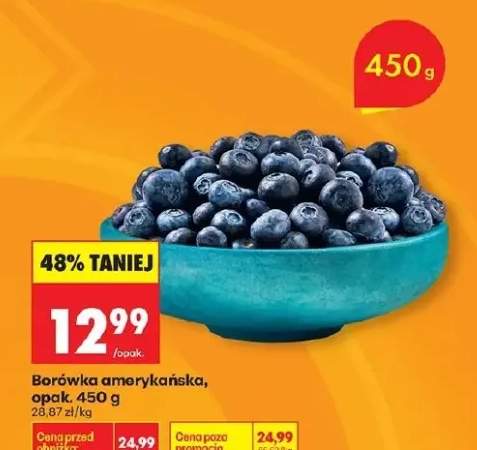 Borówka amerykańska