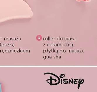 Ozdoby do włosów klamra lub zestaw 2 klamer