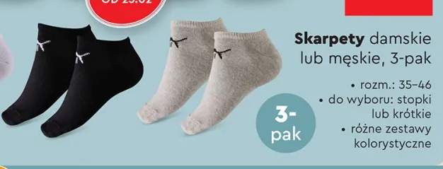 skarpety damskie