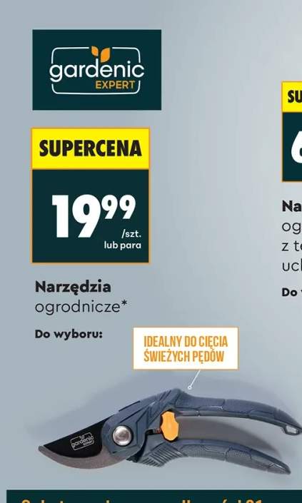 Grabie do liści z teleskopowym trzonkiem