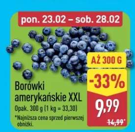 Borówki amerykańskie XXL