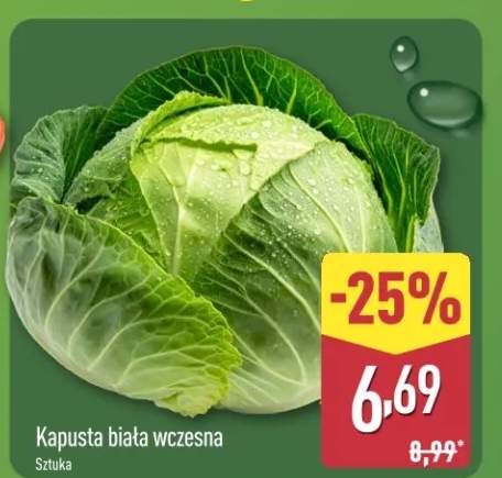 Kapusta biała wczesna sztuka