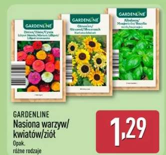 Nasiona warzyw/kwiatów/ziół