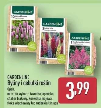 Byliny i cebulki roślin