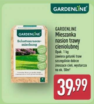 Mieszanka nasion trawy cieniolubnej