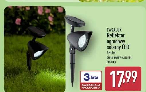 Reflektor ogrodowy solarny LED