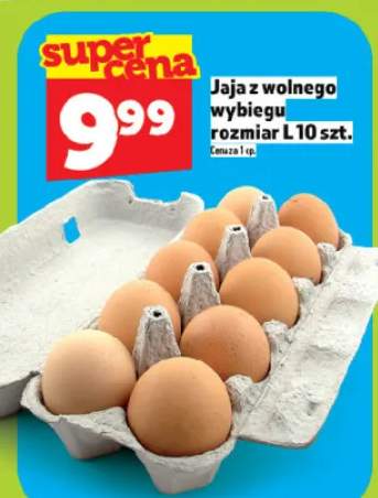 Jaja z wolnego wybiegu rozmiar L