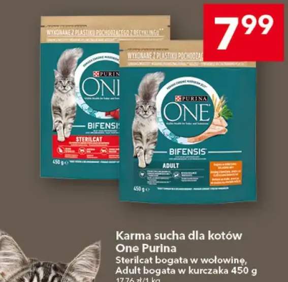 Karma sucha dla kotów Sterilcat bogata w wołowinę