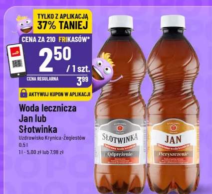 Woda lecznicza Jan lub Słotwinka Uzdrowisko Krynica-Żegiestów