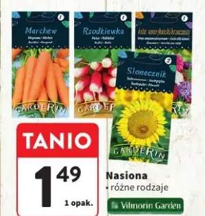 Nasiona różne rodzaje