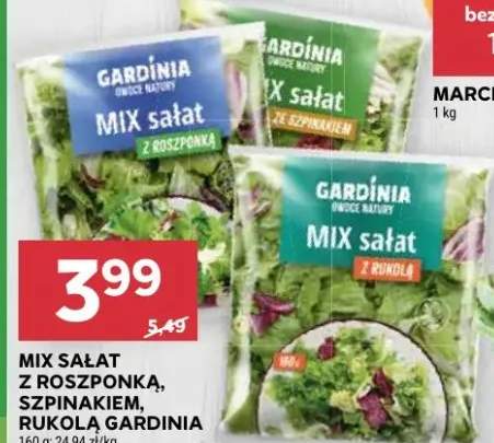 Mix sałat z roszponką