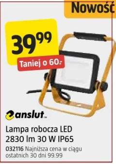 Lampa robocza LED 2830 lm 30 W IP65