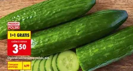 Ogórek szklarniowy polski