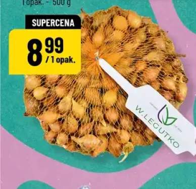 Cebula dymka Legutko