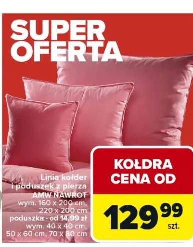 Kołdra i poduszek z pierza AMW NAWROT