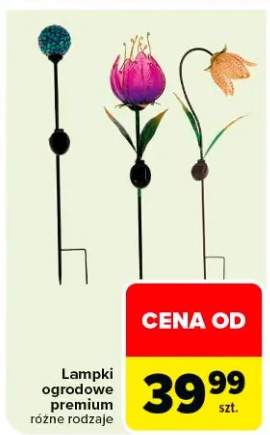 Lampki ogrodowe premium różne rodzaje