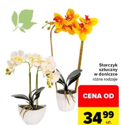 Storczyk sztuczny w doniczce różne rodzaje