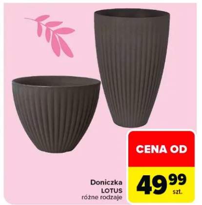 Doniczka Lotus różne rodzaje